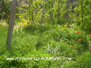 View of Houses For sale in Podvis