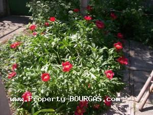 View of Houses For sale in Prilep