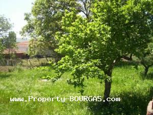 View of Houses For sale in Prilep