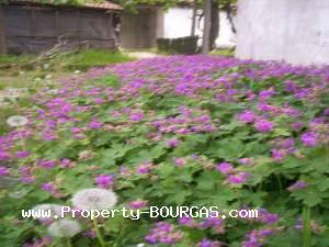 View of Houses For sale in Bosilkovo