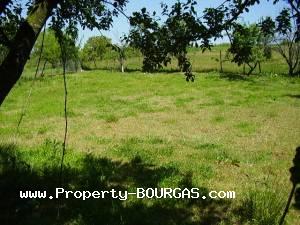 View of Land for sale, plots For sale in Drachevo