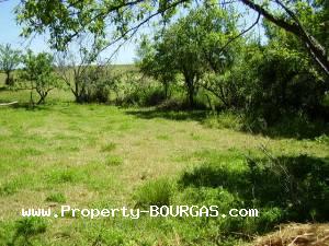 View of Land for sale, plots For sale in Drachevo
