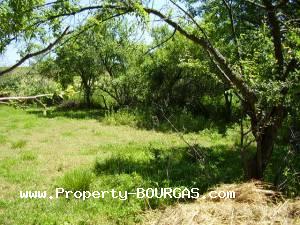 View of Land for sale, plots For sale in Drachevo