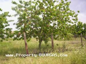 View of Commercial For sale in Sadievo