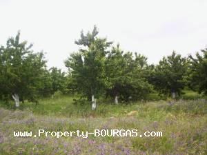 View of Land for sale, plots For sale in Karageorgievo