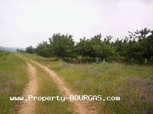 View of Land for sale, plots For sale in Karageorgievo