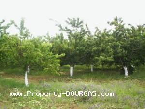 View of Land for sale, plots For sale in Karageorgievo