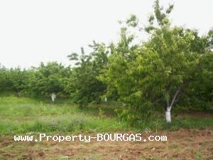 View of Land for sale, plots For sale in Karageorgievo