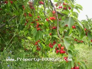 View of Land for sale, plots For sale in Karageorgievo