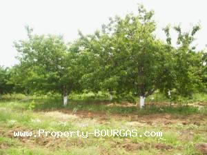 View of Land for sale, plots For sale in Karageorgievo