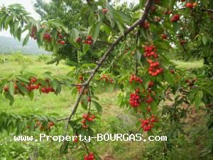 View of Land for sale, plots For sale in Karageorgievo
