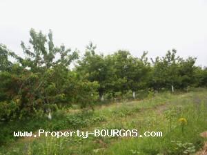 View of Land for sale, plots For sale in Karageorgievo