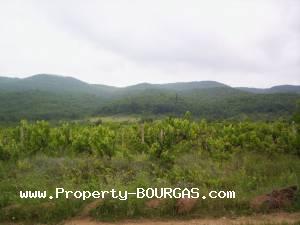 View of Land for sale, plots For sale in Karageorgievo