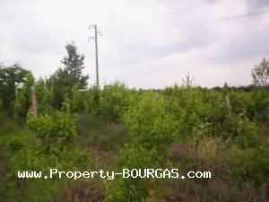 View of Land for sale, plots For sale in Karageorgievo