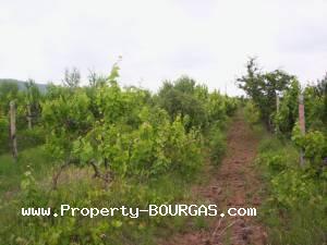 View of Land for sale, plots For sale in Karageorgievo