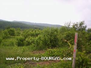 View of Land for sale, plots For sale in Karageorgievo