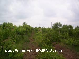 View of Land for sale, plots For sale in Karageorgievo