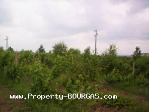 View of Land for sale, plots For sale in Karageorgievo