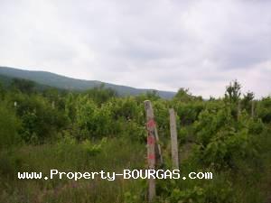 View of Land for sale, plots For sale in Karageorgievo