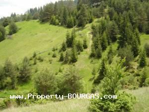 View of Houses For sale in Yagodina