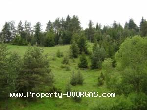 View of Houses For sale in Yagodina