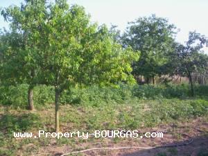 View of Houses For sale in Skalak