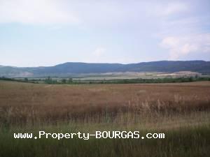 View of Land for sale, plots For sale in Pirne
