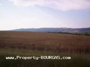 View of Land for sale, plots For sale in Pirne
