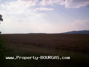 View of Land for sale, plots For sale in Pirne