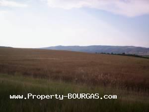 View of Land for sale, plots For sale in Pirne