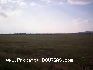 View of Land for sale, plots For sale in Pirne
