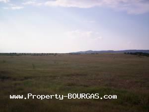 View of Land for sale, plots For sale in Pirne