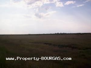 View of Land for sale, plots For sale in Pirne