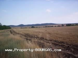 View of Land for sale, plots For sale in Pirne