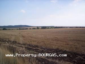 View of Land for sale, plots For sale in Pirne