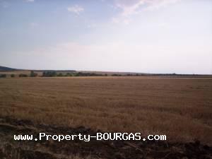 View of Land for sale, plots For sale in Pirne
