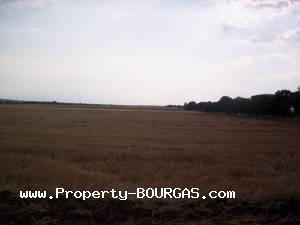 View of Land for sale, plots For sale in Pirne