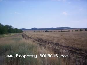 View of Land for sale, plots For sale in Pirne