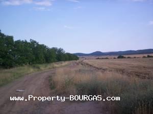 View of Land for sale, plots For sale in Pirne