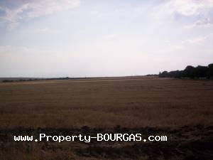 View of Land for sale, plots For sale in Pirne