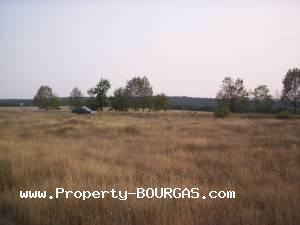 View of Land for sale, plots For sale in Iabalchevo