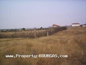 View of Land for sale, plots For sale in Iabalchevo