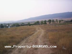 View of Land for sale, plots For sale in Iabalchevo