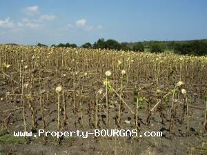 View of Land for sale, plots For sale in Marinka