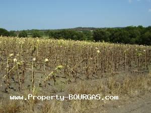 View of Land for sale, plots For sale in Marinka