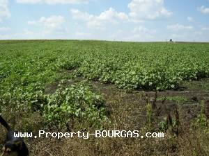 View of Land for sale, plots For sale in Marinka