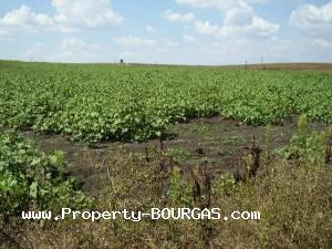 View of Land for sale, plots For sale in Marinka