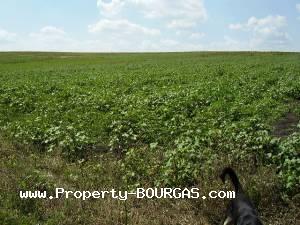 View of Land for sale, plots For sale in Marinka