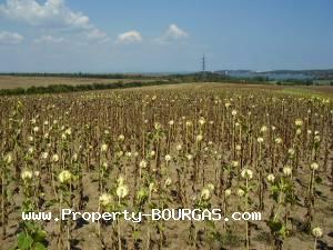 View of Land for sale, plots For sale in Marinka