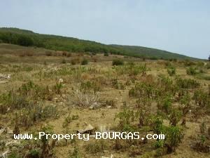 View of Land for sale, plots For sale in Kosharica
